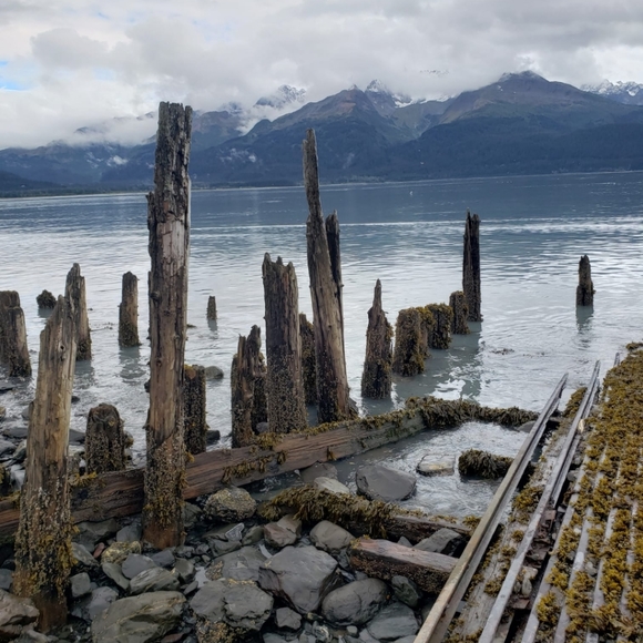 Meet your Posher, Cyndi - Picture 9 of 16